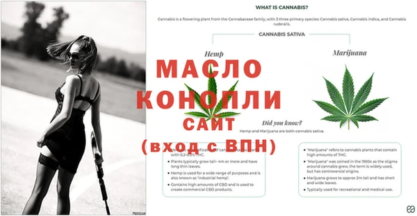 apvp Арсеньев